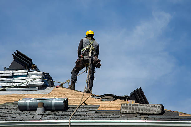 Professional Gutter Installation technician working in Niobrara, NE